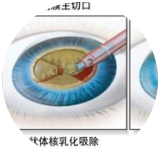 直观触摸屏图像用户界面